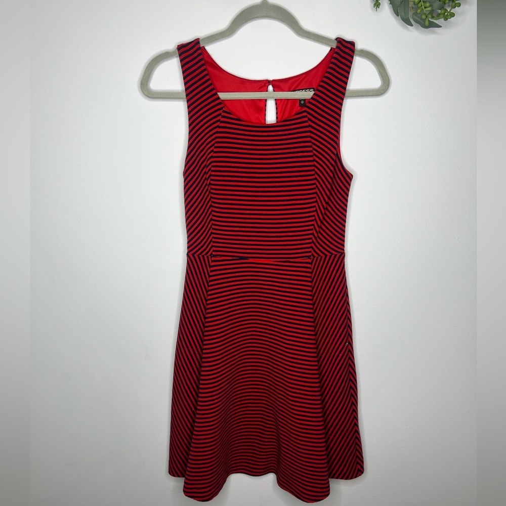Express striped skater dress